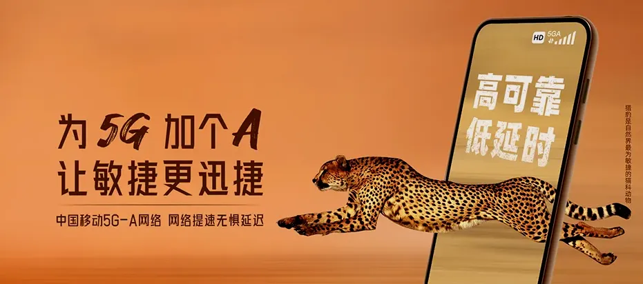 双阳区双阳区齐家镇 移动宽带